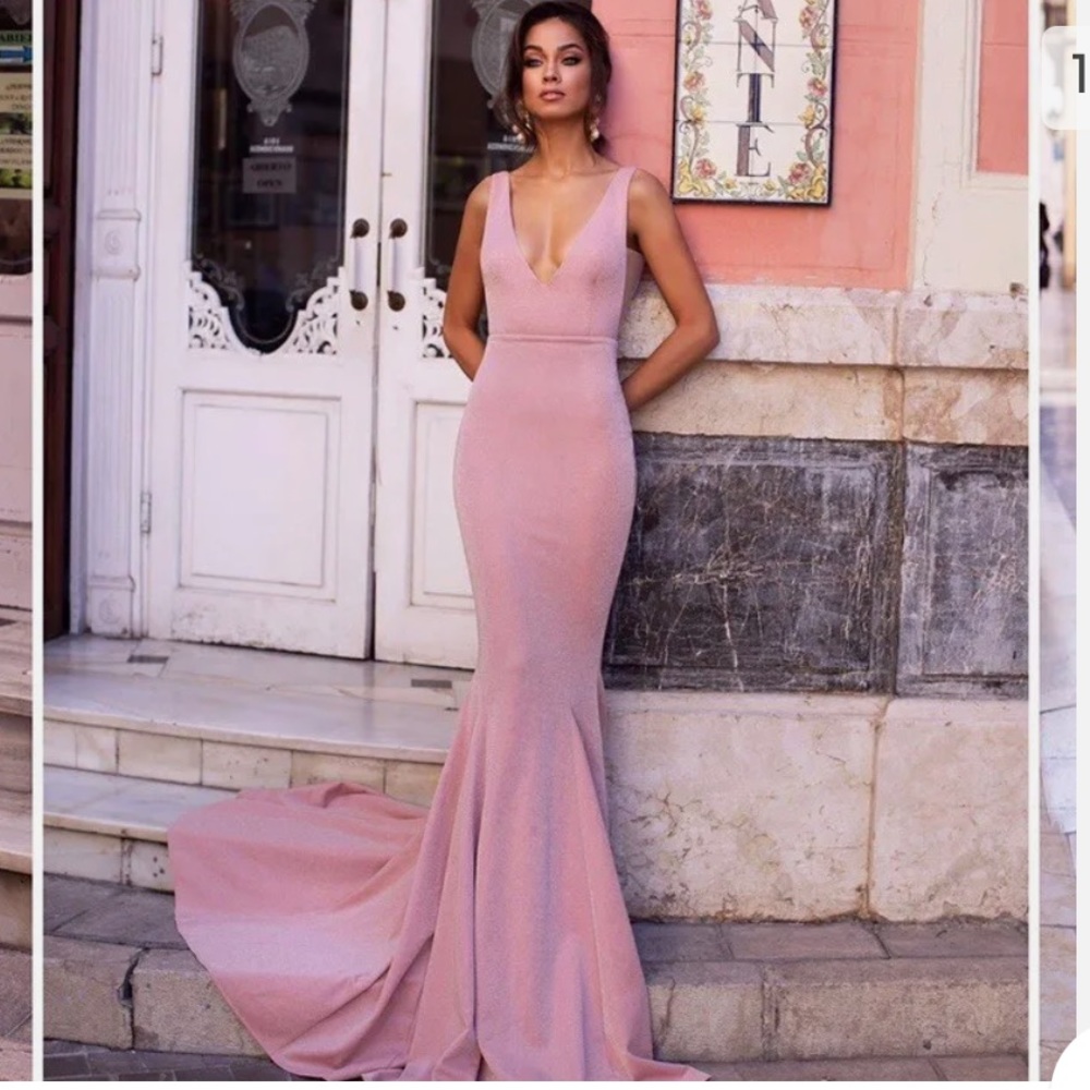Alamour the label gown- NWT